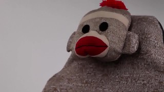 sock monkey seat covers